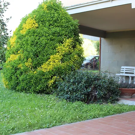 Gli Archi Bed & Breakfast Pisa